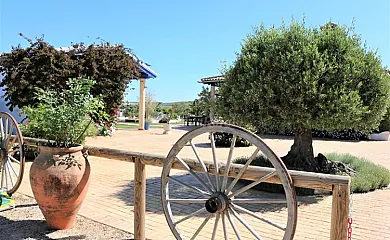 Arcos de la Viña en Arcos de la Frontera (Cádiz) - Foto 10