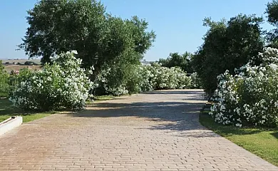 Arcos de la Viña en Arcos de la Frontera (Cádiz) - Foto 11