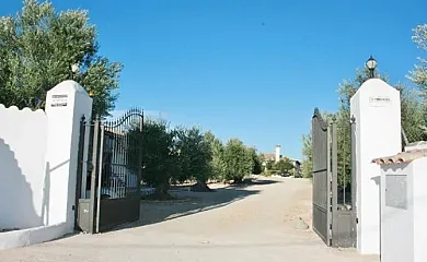 Arcos de la Viña en Arcos de la Frontera (Cádiz) - Foto 19