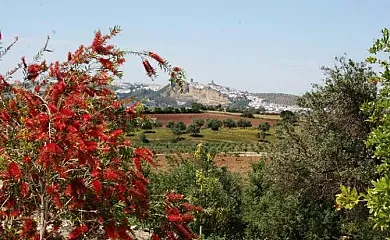 Arcos de la Viña en Arcos de la Frontera (Cádiz) - Foto 24