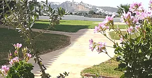 Arcos de la Viña 0041