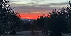 Arcos de la Viña 0045