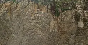 Cortijo Pesquera 0017