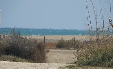 Cal Garreta en Amposta (Tarragona) - Foto 13