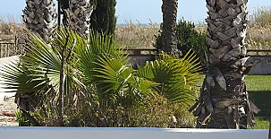Cal Garreta 0022