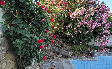 Casa Rural Viriato Gredos en Sotillo de las Palomas (Toledo) - Foto 17