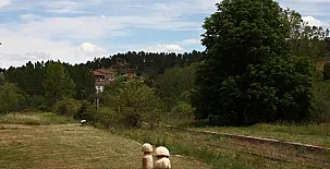 La Estación de Rabanera 0022