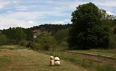 La Estación de Rabanera en Rabanera Del Pinar (Burgos) - Foto 22