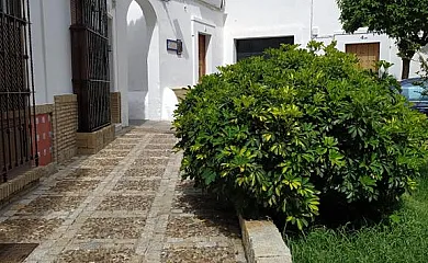 La Noria en Los Palacios y Villafranca (Sevilla) - Foto 24