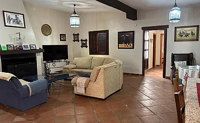La Noria en Los Palacios y Villafranca (Sevilla) - Foto 5