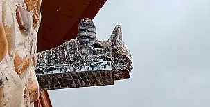 Remedios de Luna 0012