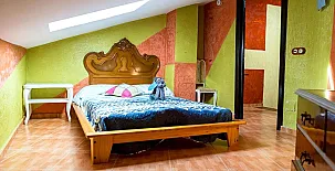 Remedios de Luna 0038