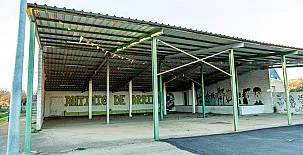 Remedios de Luna 0045