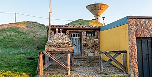 Remedios de Luna 0065