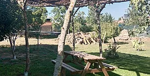 Remedios de Luna 0067