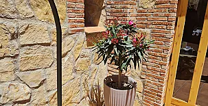 La Casa del Pantano 0046