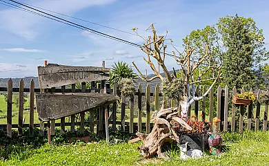 La Joma en Vidular (Cantabria) - Foto 8