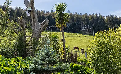 La Joma en Vidular (Cantabria) - Foto 9