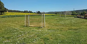 Cal Duc 0011