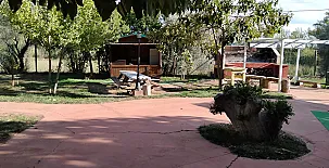 Las Casas De la Vega 0050