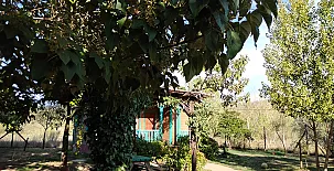 Las Casas De la Vega 0052