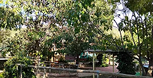Las Casas De la Vega 0053