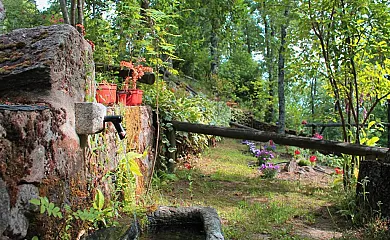 Cabañas de Madera Sanabria en Vigo de Sanabria (Zamora) - Foto 19