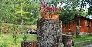 Cabañas de Madera Sanabria 0020