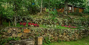 Cabañas de Madera Sanabria 0030