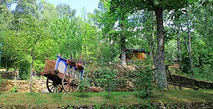 Cabañas de Madera Sanabria 0032