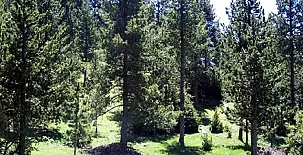Masía Puigventós 0032