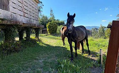 Casa Rural San Cibrán en Carnota (A Coruña) - Foto 4