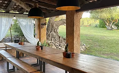Masia Cal Mingo en Sant Miquel D´Olerdola (Barcelona) - Foto 5