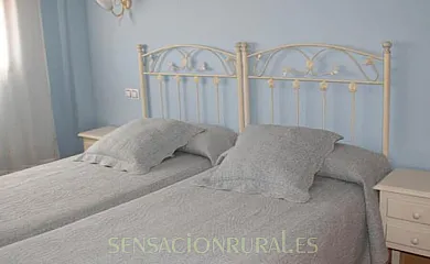 La Dehesa en Cogollos (Burgos) - Foto 22