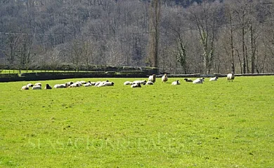 Mikelenea en Lekaroz (Navarra) - Foto 11