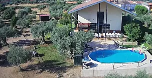 El Olivar del Marqués 004