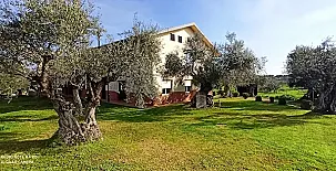 El Olivar del Marqués 003