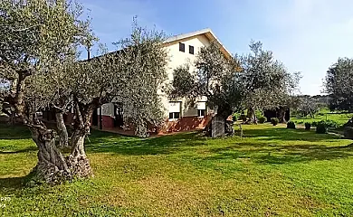 El Olivar del Marqués en Santa Cruz De La Sierra (Cáceres) - Foto 3