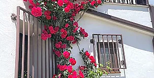 Casa Rural Al Alba 003