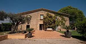 El Taronger 002