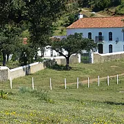 Finca Fuentibáñez 001