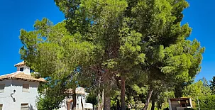 La Villa del Pistacho 003