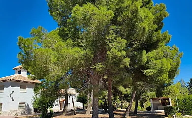La Villa del Pistacho en Caravaca de la Cruz (Murcia) - Foto 3