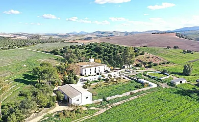 Hacienda Las Lumbreras en Montellano (Sevilla) - Foto 1