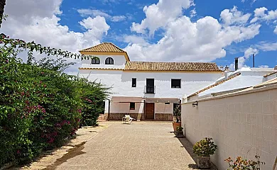 Hacienda Torrepalma en Carmona (Sevilla) - Foto 1