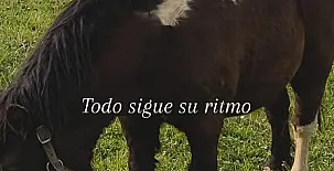 Jesuskoa 0041