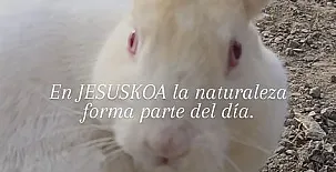 Jesuskoa 0043