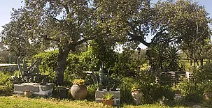 Cortijo El Encinar-Portezuelo 0023