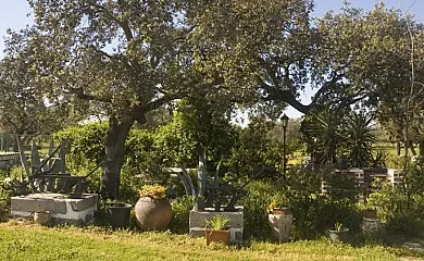 Cortijo El Encinar-Portezuelo en Pozoblanco (Córdoba) - Foto 23