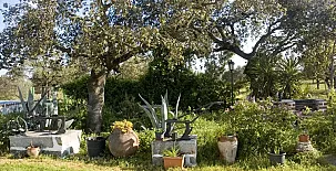 Cortijo El Encinar-Portezuelo 0027